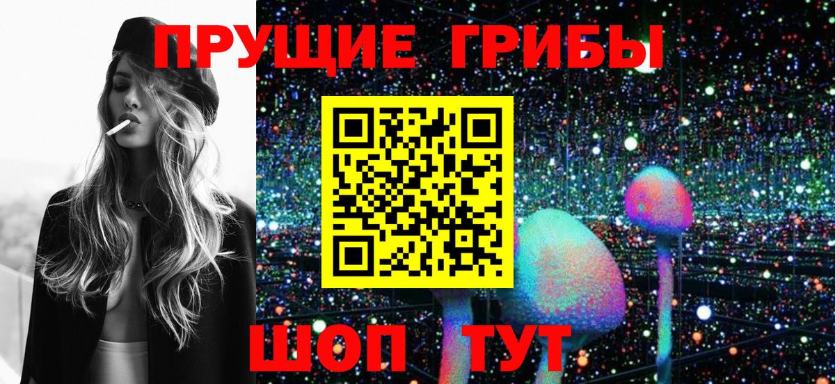 Свободный  цены   Вход с VPN  Галлюциногенные грибы мухоморы 