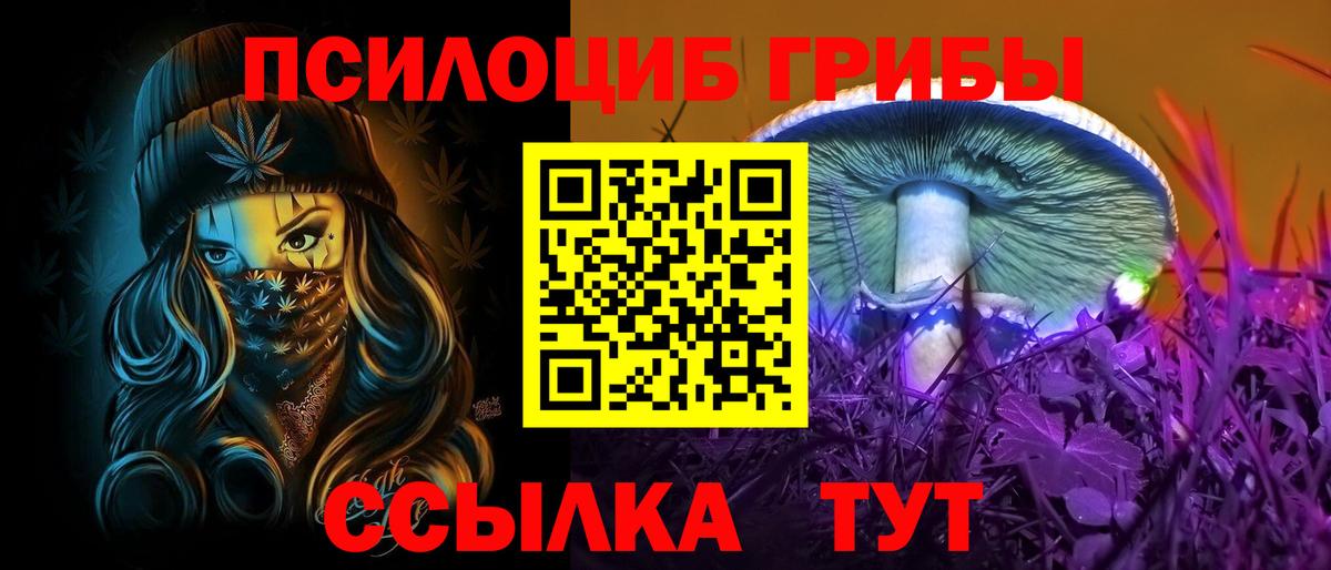 Псилоцибиновые грибы Cubensis Свободный